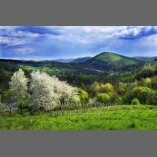 Beskid Niski