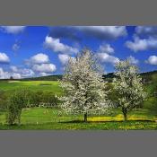 Beskid Niski