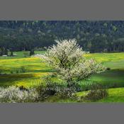 Beskid Niski