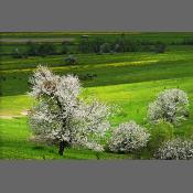 Beskid Niski