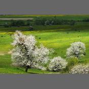 Beskid Niski