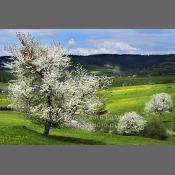 Beskid Niski