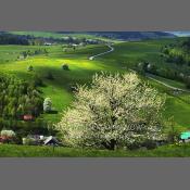 Beskid Niski