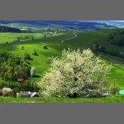 Beskid Niski