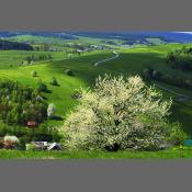 Beskid Niski