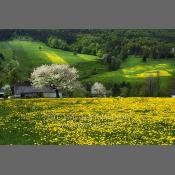 Beskid Niski