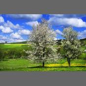 Beskid Niski