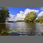 Rzeka Narew w Nowym Dworze Mazowieckim