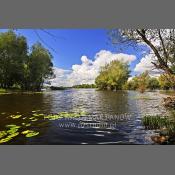 Rzeka Narew w Nowym Dworze Mazowieckim