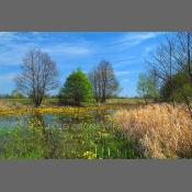 Nadbużański Park Krajobrazowy