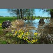 Nadbużański Park Krajobrazowy