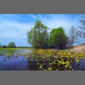 Nadbużański Park Krajobrazowy