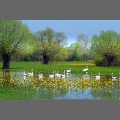 Nadbużański Park Krajobrazowy