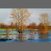 Nadbużański Park Krajobrazowy