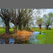 Nadbużański Park Krajobrazowy