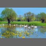 Nadbużański Park Krajobrazowy