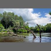 Park Krajobrazowy Podlaski Przełom Bugu