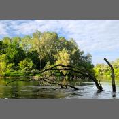 Park Krajobrazowy Podlaski Przełom Bugu