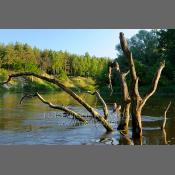 Park Krajobrazowy Podlaski Przełom Bugu