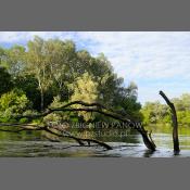 Park Krajobrazowy Podlaski Przełom Bugu