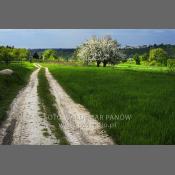 Kazimierski Park Krajobrazowy 