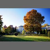 Łódź, rezydencja Księży Młyn, park