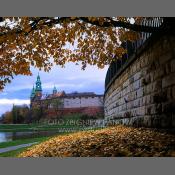 Kraków, Katedra i Zamek Na Wawelu