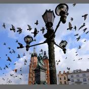 Kraków, Rynek Główny, kościół Mariacki