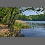 Wielkopolski Park Narodowy