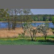 Wielkopolski Park Narodowy