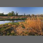 Rogaliński Park Krajobrazowy