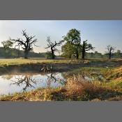 Rogaliński Park Krajobrazowy