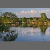 Rogaliński Park Krajobrazowy