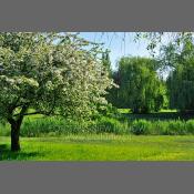 Park Skaryszewski, Warszawa