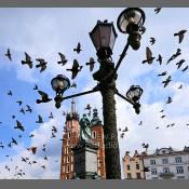 Kraków, Rynek Główny