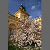 Warszawa-Muzeum Pałac w Wilanowie