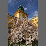 Warszawa-Muzeum Pałac w Wilanowie