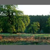 Rogaliński Park Krajobrazowy