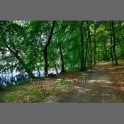 Woliński Park Narodowy