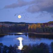 Suwalski Park Krajobrazowy