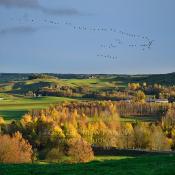 Suwalski Park Krajobrazowy