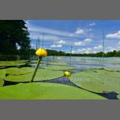 Suwalski Park Krajobrazowy