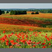 Warmia i Mazury