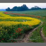 Warmia i Mazury