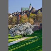 Warszawa-Stare Miasto