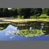 Warszawa Park Skaryszewski