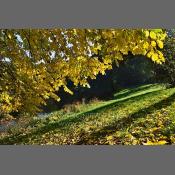 Park Skaryszewski, Warszawa