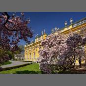 Warszawa-Muzeum Pałac w Wilanowie