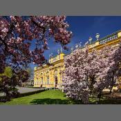 Warszawa-Muzeum Pałac w Wilanowie