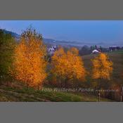 Beskid Niski